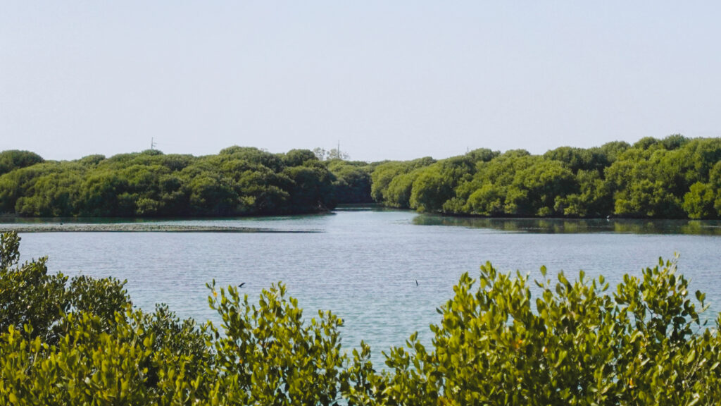 山海圳・內海之路